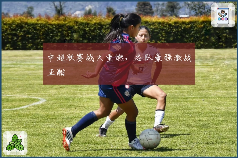 中超联赛战火重燃，各队豪强激战正酣